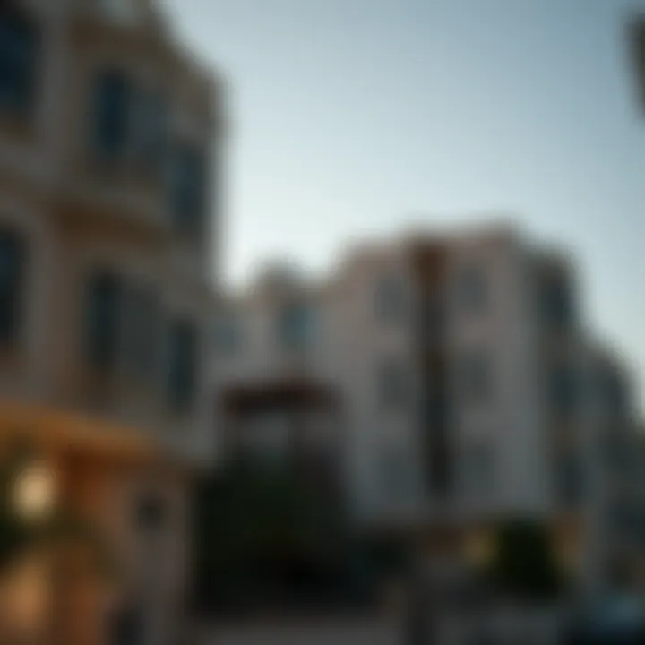 Magnificent An In-Depth Examination of طيبة ابو هيل: Insights into a Unique Neighborhood