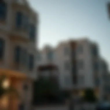 Magnificent An In-Depth Examination of طيبة ابو هيل: Insights into a Unique Neighborhood Magnificent An In-Depth Examination of طيبة ابو هيل: Insights into a Unique Neighborhood