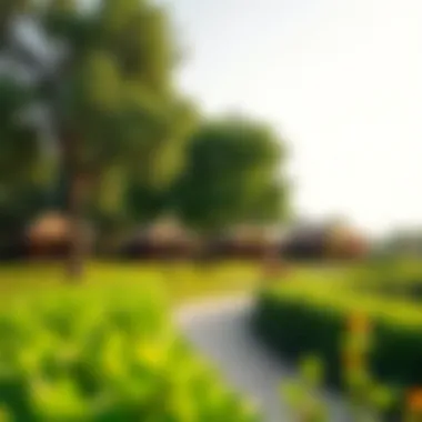 Lush Greenery of Al Mamzar Park Scenic view of Al Mamzar Park showcasing lush greenery