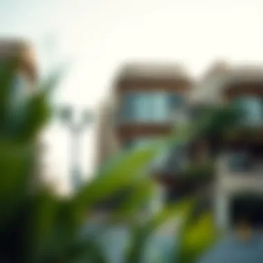 Notable An In-Depth Examination of طيبة ابو هيل: Insights into a Unique Neighborhood Notable An In-Depth Examination of طيبة ابو هيل: Insights into a Unique Neighborhood