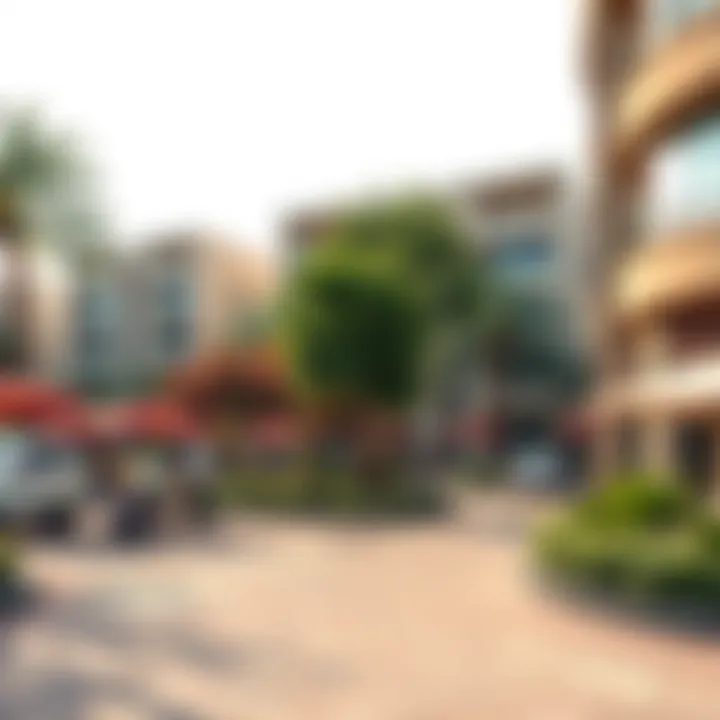 Vibrant community life in Barsha Heights with parks and cafes