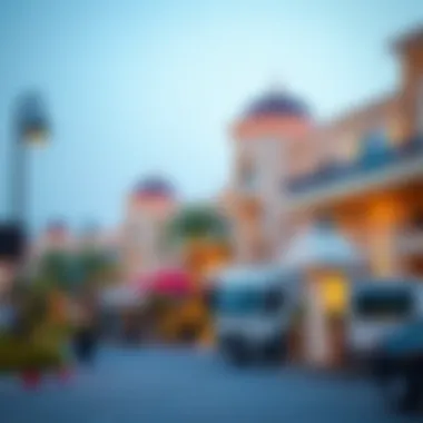 Local attractions and amenities near rental villas in Rashidiya