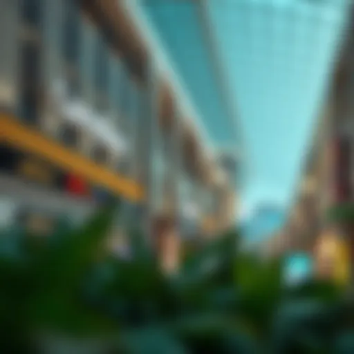Exploring Carrefour Mall of the Emirates: A Comprehensive Overview Introduction