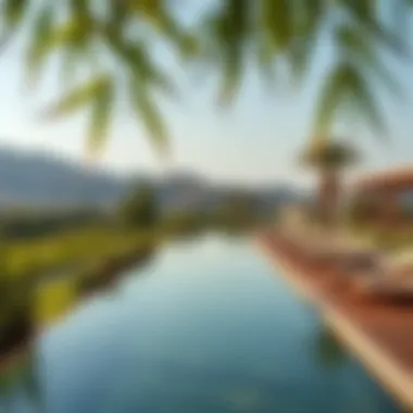 The Tranquil Oasis Breathtaking views of a serene oasis with lush greenery