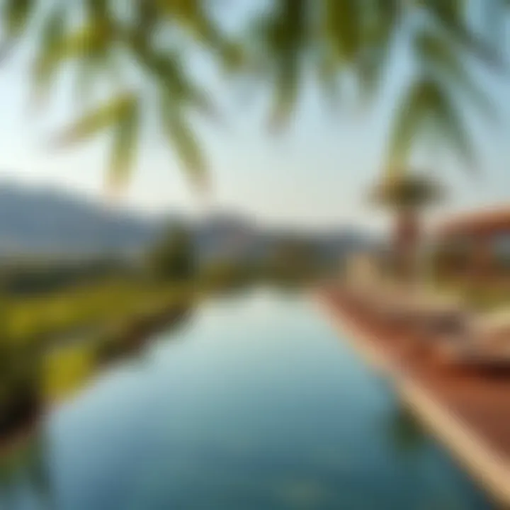 The Tranquil Oasis Breathtaking views of a serene oasis with lush greenery