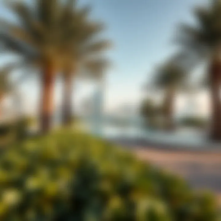 Notable Exploring Dubai's Premier Outdoor Destinations Notable Exploring Dubai's Premier Outdoor Destinations