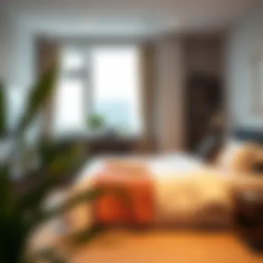 Cozy Bedroom in a Shared Flat Cozy bedroom setup in a flat share