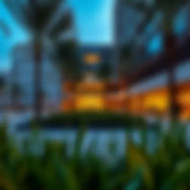 Amenities Supporting a Vibrant Urban Lifestyle Lifestyle amenities within Masaar Living encouraging an active community