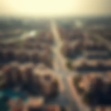 Aerial view of Nad Al Shiba showcasing residential developments