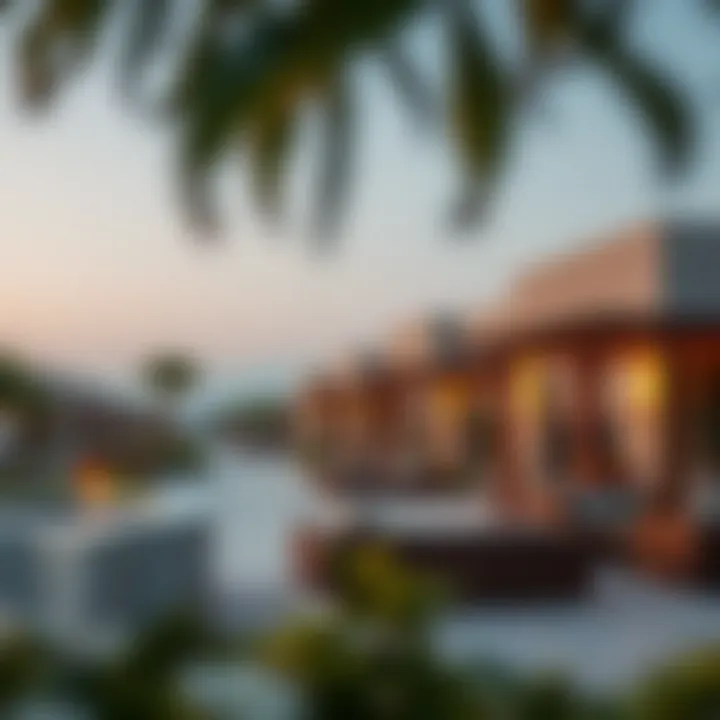 Community amenities in Nad Al Shiba