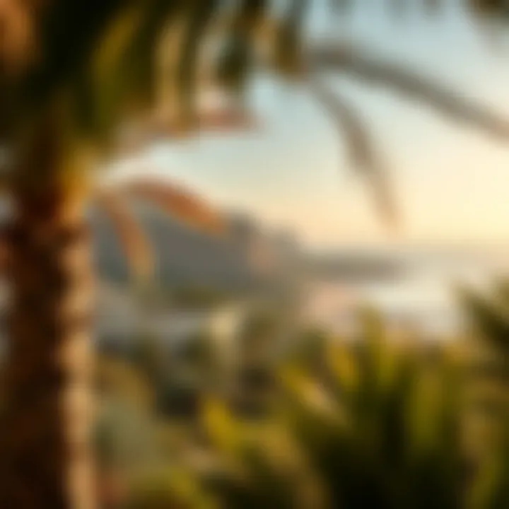 Natural landscape surrounding Riviera Ras Al Khaimah