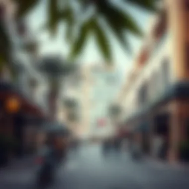 Local Amenities in Baniyas Overview of local amenities and attractions in Baniyas
