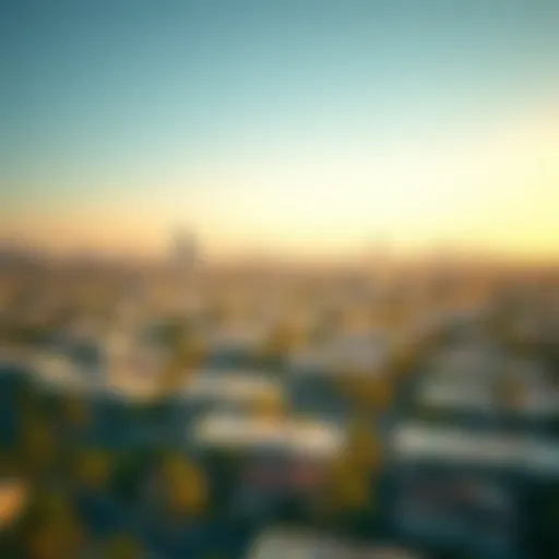 A panoramic view of Sonapur showcasing the skyline and residential areas