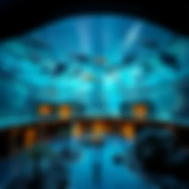 The Dubai Aquarium featuring diverse marine life as a unique attraction