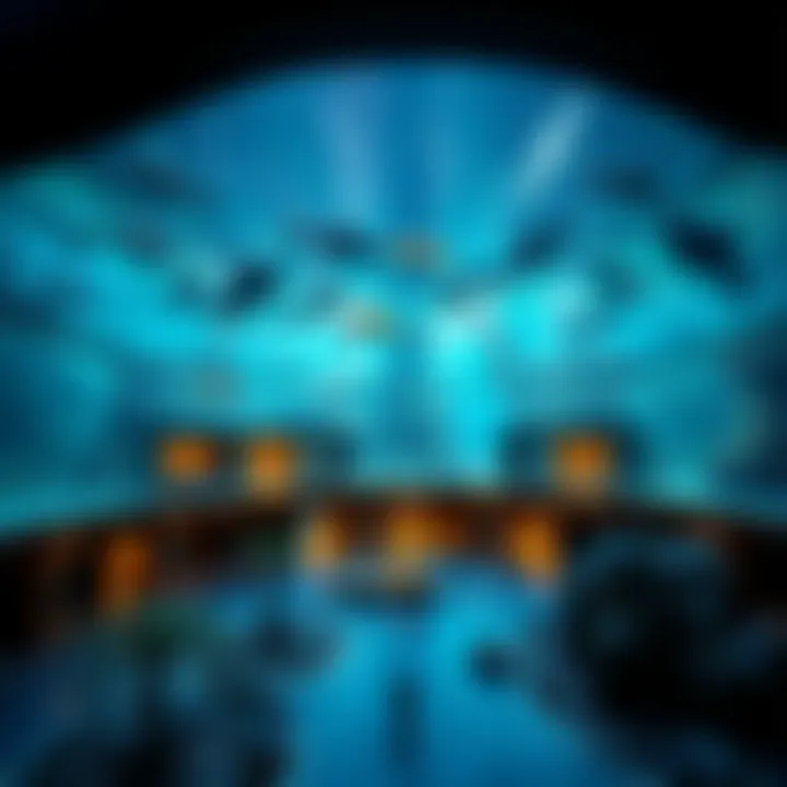 The Dubai Aquarium featuring diverse marine life as a unique attraction