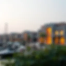 Exploring Zuha Island: A Comprehensive Guide to Dubai's Hidden Gem Introduction