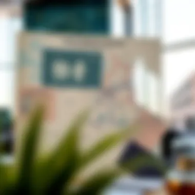 Understanding Visa Regulations in Dubai Map highlighting Dubai's regulations for family visas