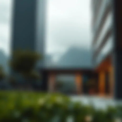 Green Visa vs Golden Visa: A Comprehensive Analysis Introduction