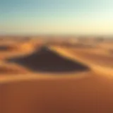 Aerial view of Liwa Oasis highlighting its expansive dunes