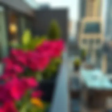 A vibrant rooftop garden on a contemporary balcony in Dubai