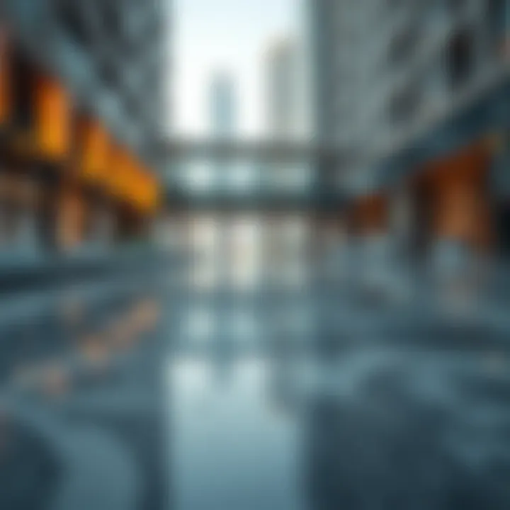 Navigating Borrowing Options in Dubai Summary