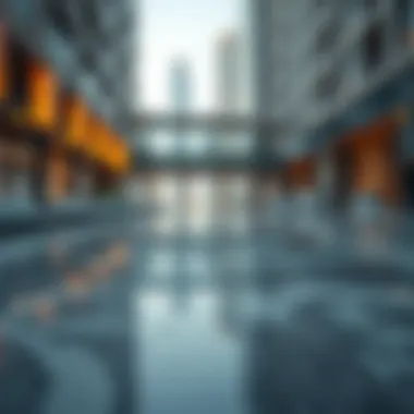Navigating Borrowing Options in Dubai Summary Navigating Borrowing Options in Dubai Summary