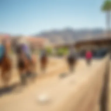 Community Engagement at the Centre Community engagement activities at the equestrian centre