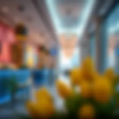 Commercial Vibrance: Inside وحده مول Vibrant commercial spaces in وحده مول